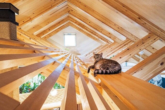 独特な屋根架構