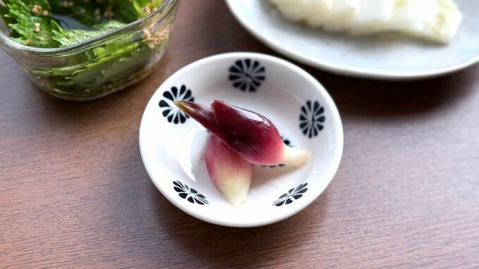 ミョウガの甘酢漬け