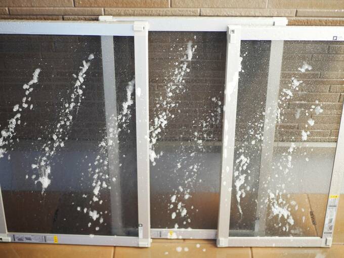 中性洗剤を網戸全体につける