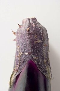 おいしいナスの選び方