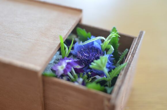 サプライズたっぷりのかわいいボックス