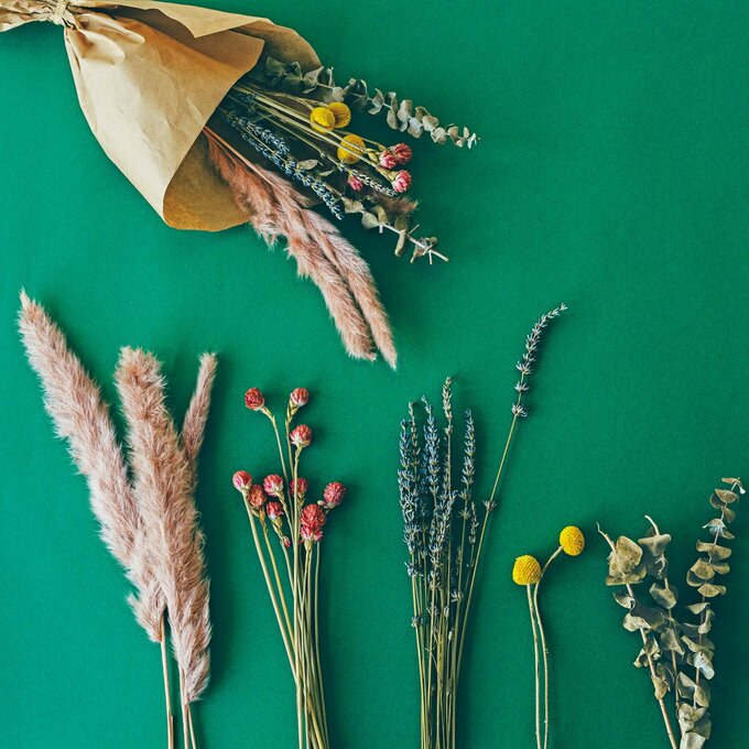 ドライフラワー