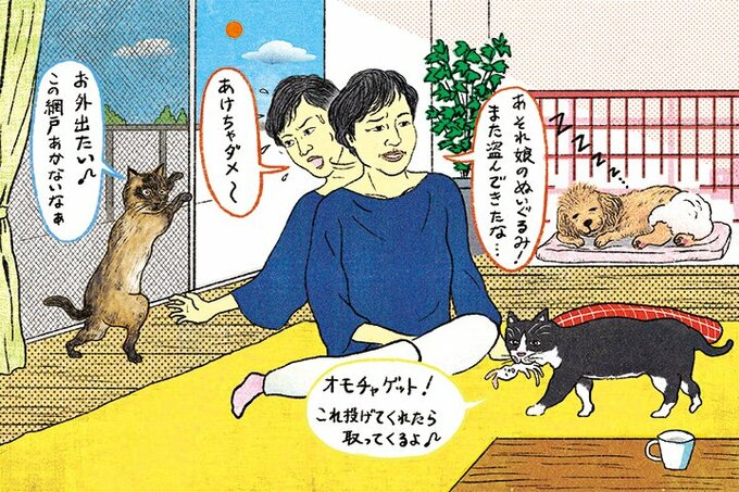 青木さやかさんとやんちゃな2猫とおとなしい老犬1匹