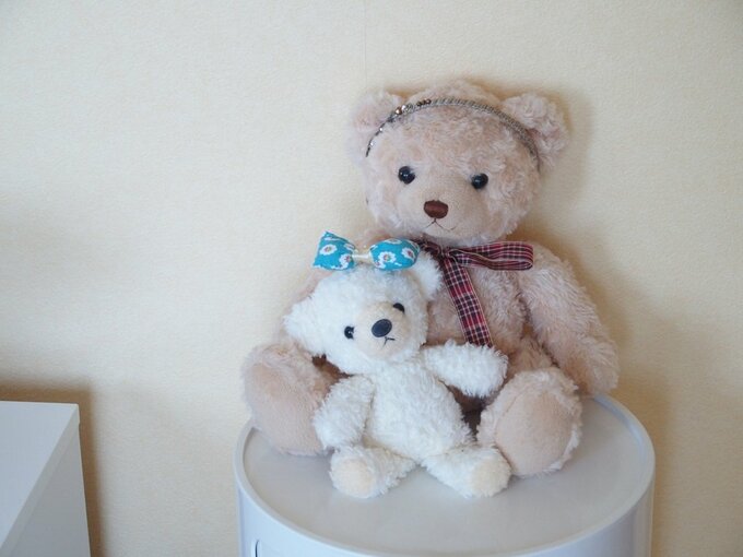 手持ちのヘアアクセサリーでおしゃれをさせたヌイグルミ