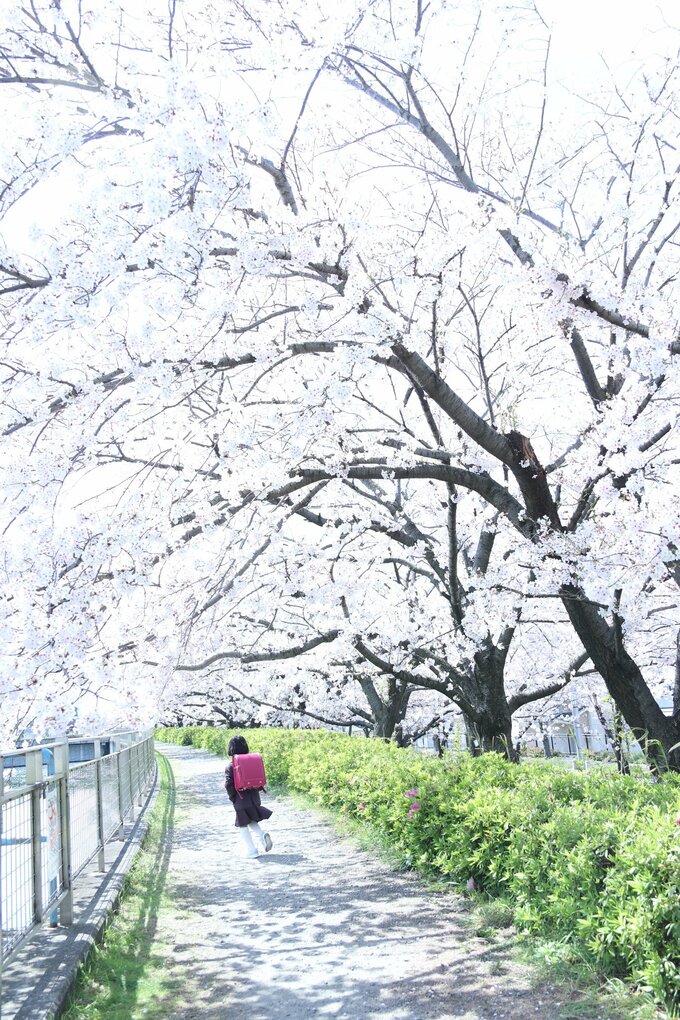 春は習い事を始めるのにいい季節