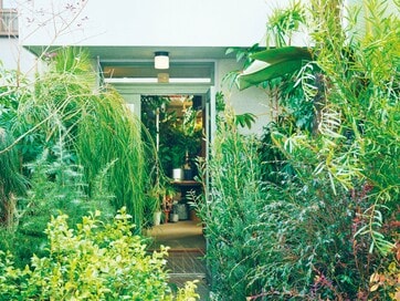 文筆家・大平一枝さんが見つけた、住宅地にたたずむ植物専門店