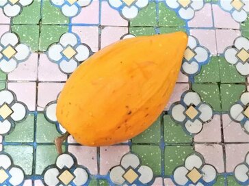 見た目も味もまるで卵!?台湾でレアな「エッグフルーツ」を味わってみた