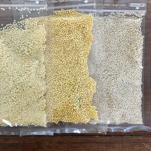 バターも小麦も一切使用しない!雑穀でつくる「和風クリームシチュー」