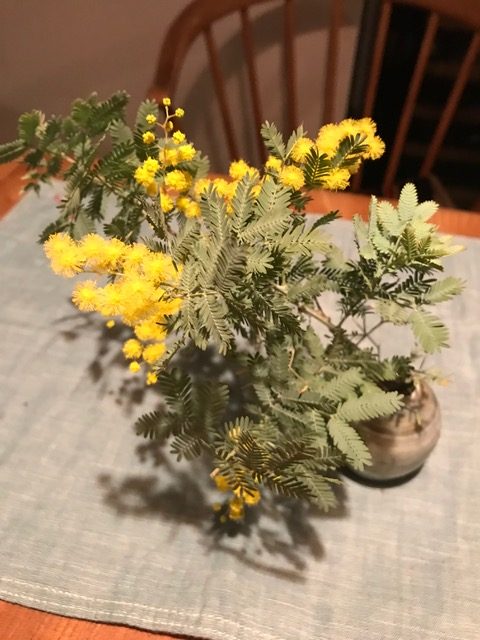 花器に生けられたミモザ