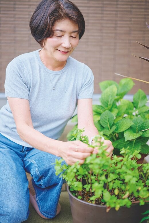 庭のハーブを収穫する女性