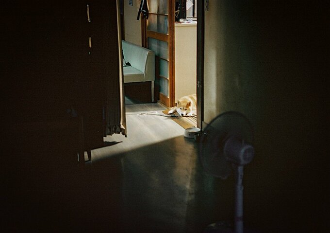 親交の深い大切な女の子が東京から遠路はるばる来てくれた