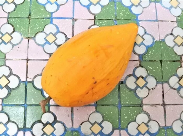 見た目も味もまるで卵!?台湾でレアな「エッグフルーツ」を味わってみた