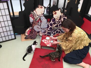 猫づくし！話題の保護猫カフェで江戸時代の町民文化を疑似体験
