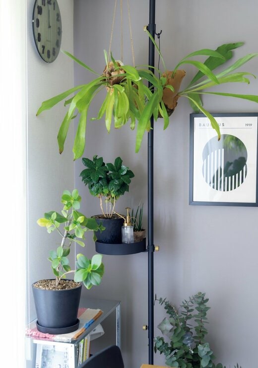 観葉植物が部屋の角に飾られている様子