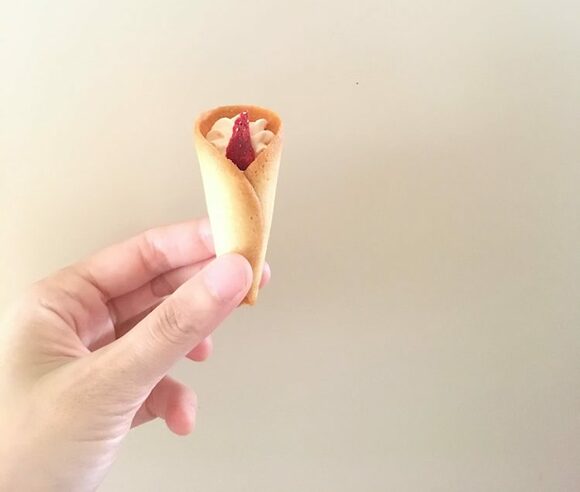 まるで小さなクレープのような姿