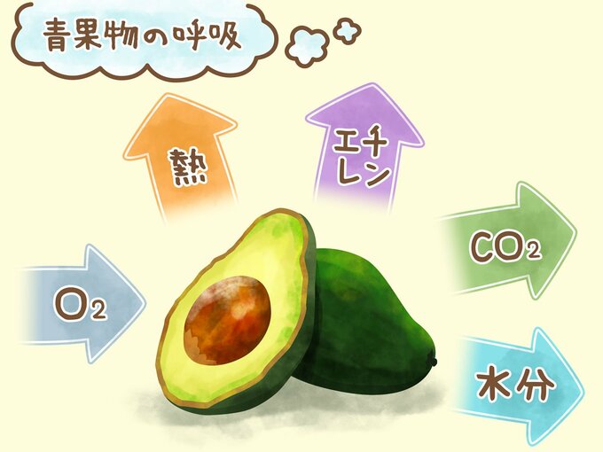 呼吸