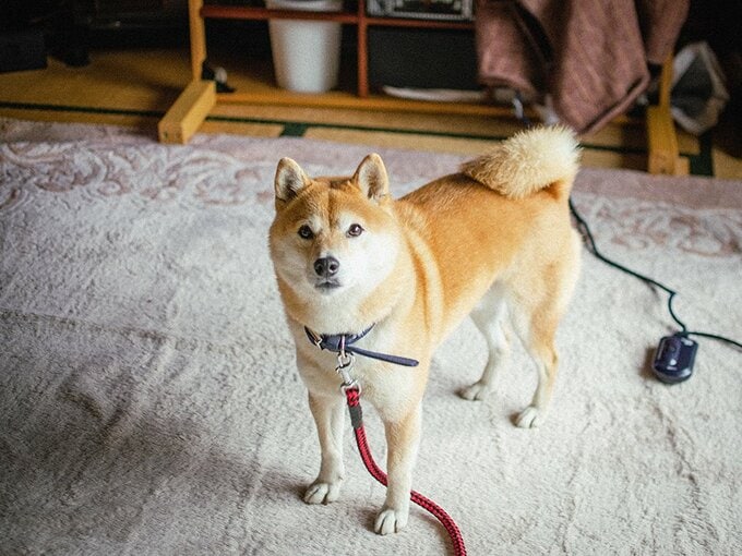 いつの間にか夕方に