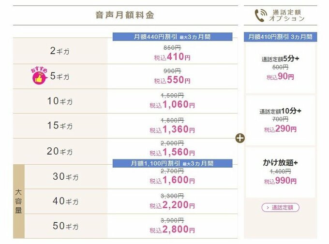 IIJmio料金表