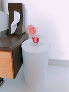 ゴミ箱の中身が見えることない