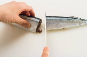 真っ二つに切ると内臓が出てしまう