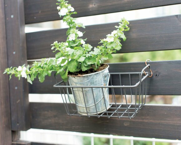 アイアンカゴでグリーンを壁面にディスプレー02