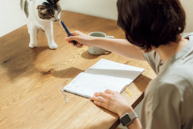 猫と戯れる女性