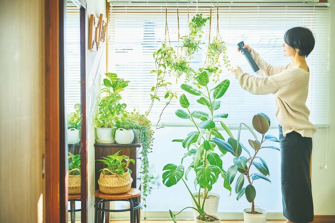 植物の手入れをするようさん