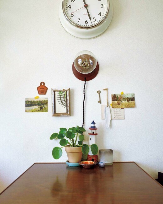 ピレア・ペペロミオイデス