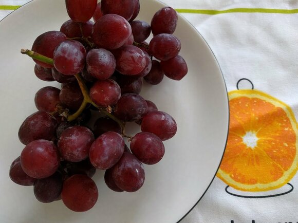 おしゃれにワインを適正温度にする裏ワザ