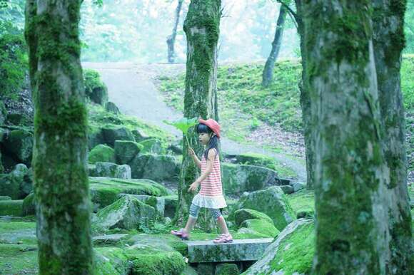 緑色に赤色がポイントになった1枚