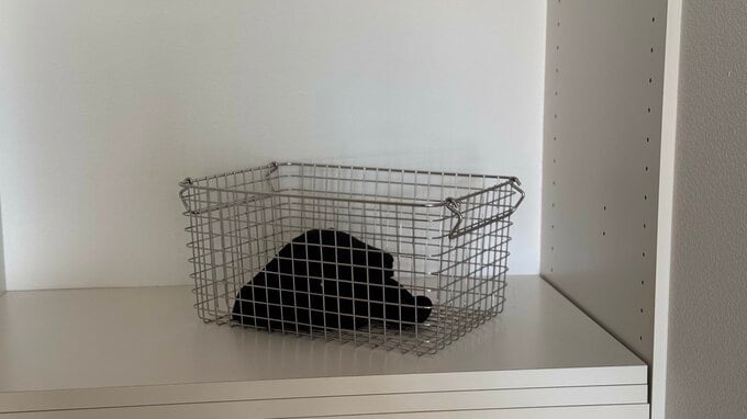 かごに入った服