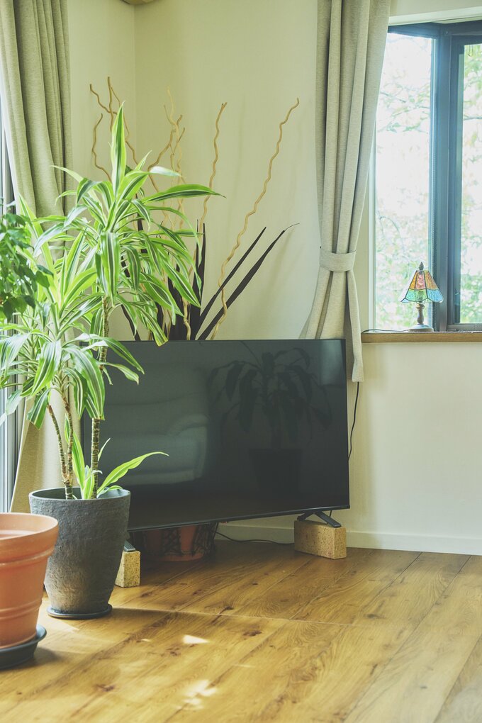 ライフさんのテレビ