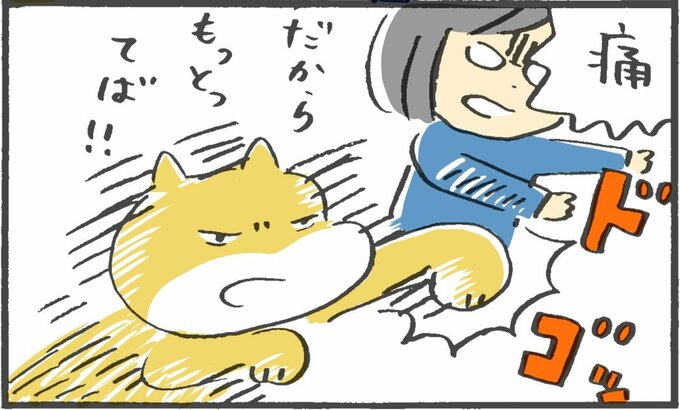 ふうちゃんなでなで