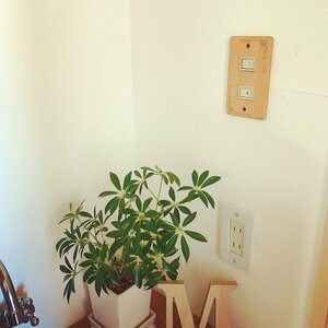 新しいスイッチプレートをつける