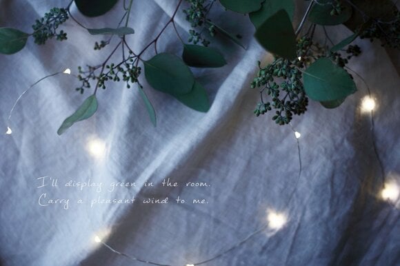 ワイヤーライト