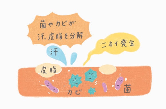 菌やカビが汗、皮脂を分解 ニオイ発生