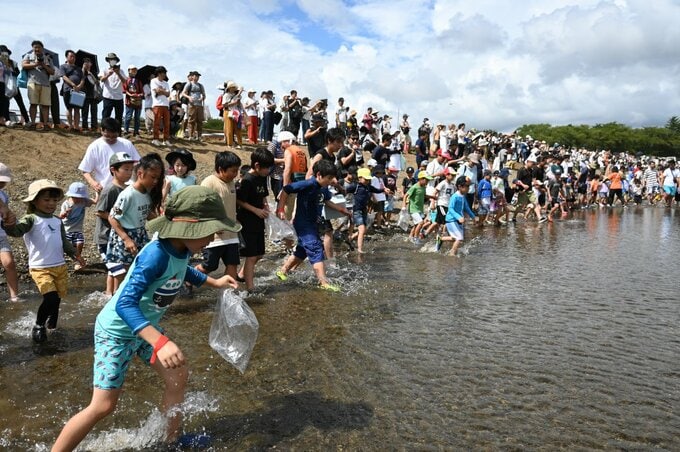 あつぎ鮎まつりの「子ども鮎つかみどり」