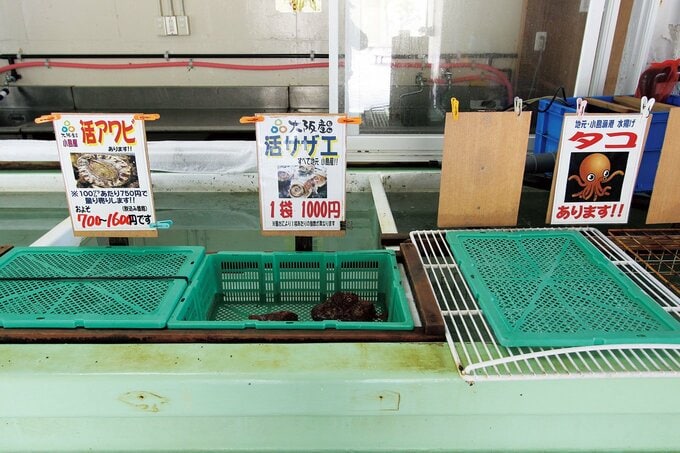 道の駅の建物はこぢんまりとしていて、売店では釣りエサのほかアワビやサザエなど魚介類を販売していた