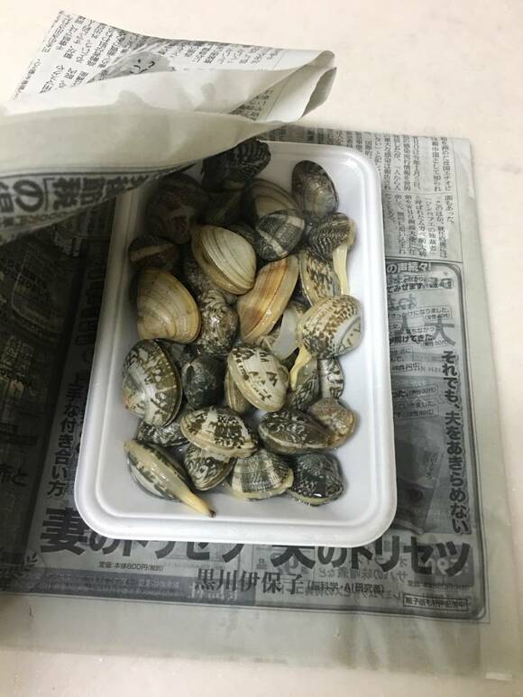 新聞紙の上にアサリ