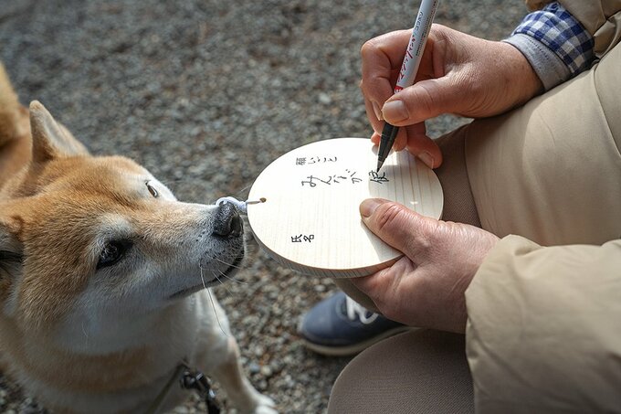 犬と神社へ 母の書いた絵馬は本物そっくりかも Inubot回覧板 Esseonline エッセ オンライン