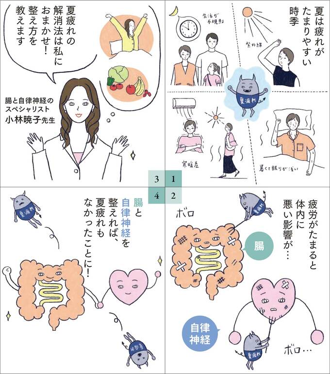 夏は疲れがたまりやすい時季