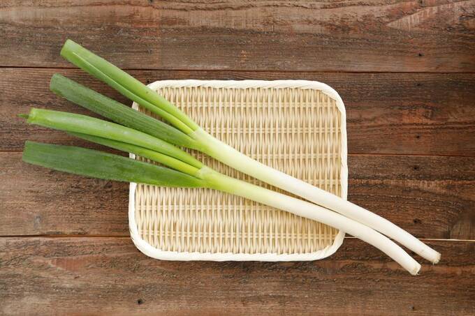 長ネギ
