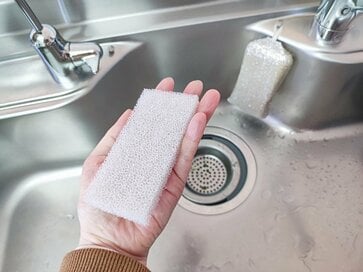 これからのスポンジは「毎日取り替える」。ニトリで見つけた神スポンジ