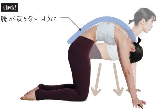 首から背中を伸ばすキャットストレッチ