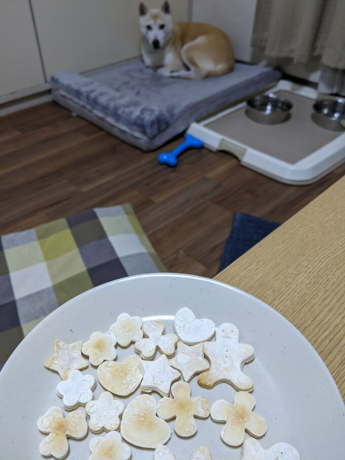 クッキーを見つめる犬