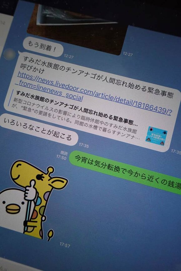 チンアナゴの話をするLINE画面