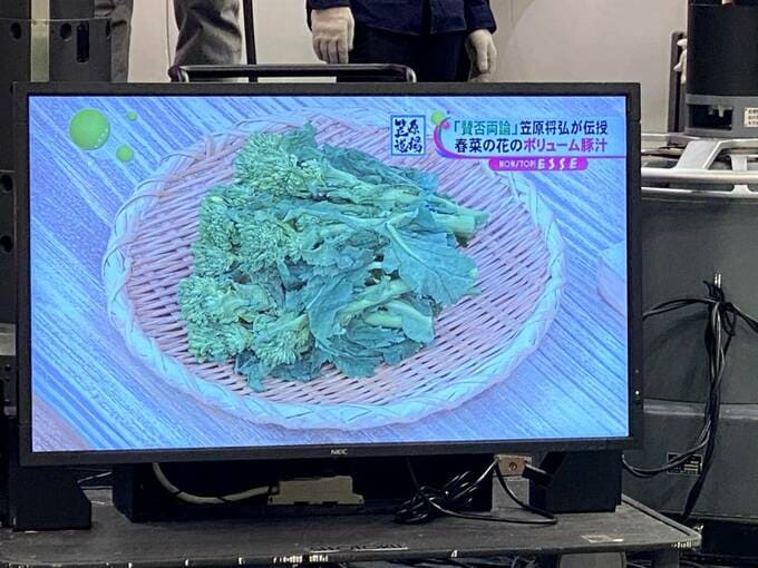 モニターに菜の花