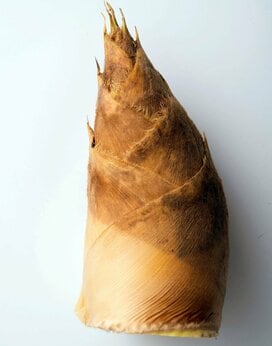 料理家が教える旬のタケノコをほっくりおいしくゆでる方法と保存法