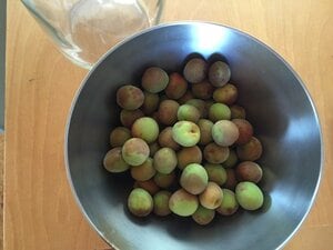 ビンはあらかじめ消毒しておく