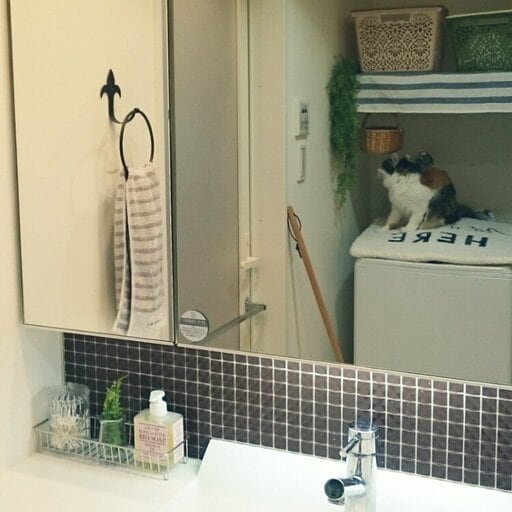 チャイルドミラーをリメイク